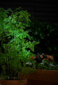 Solcellelampe Spotlight svart 19 cm - Garden®